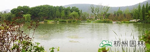 电竞比赛押注app