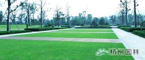 电竞比赛押注app