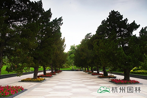 电竞比赛押注app