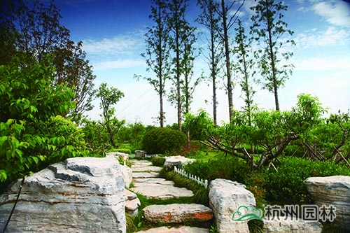 电竞比赛押注app