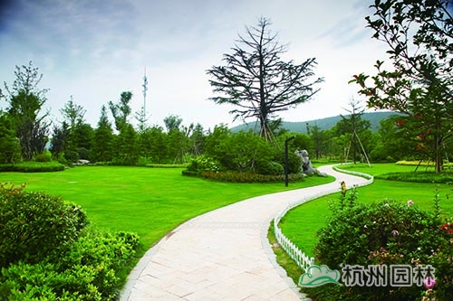 电竞比赛押注app