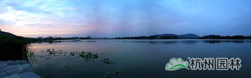 电竞比赛押注app