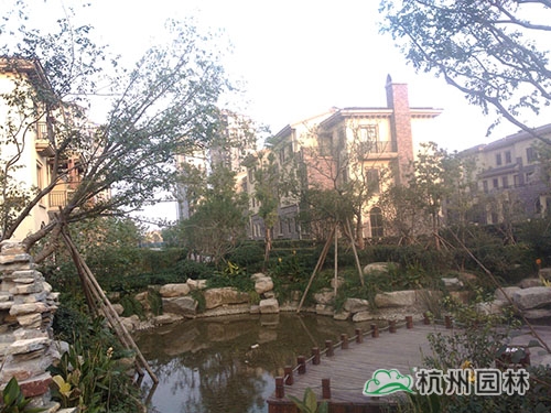 电竞比赛押注app