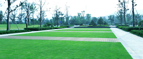 电竞比赛押注app