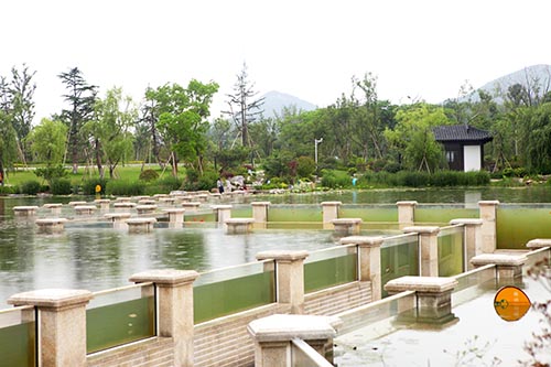 电竞比赛押注app