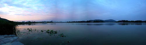 电竞比赛押注app