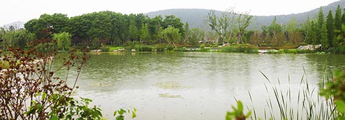 电竞比赛押注app