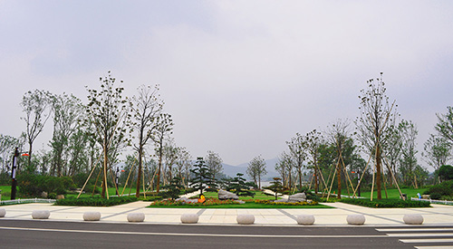 电竞比赛押注app