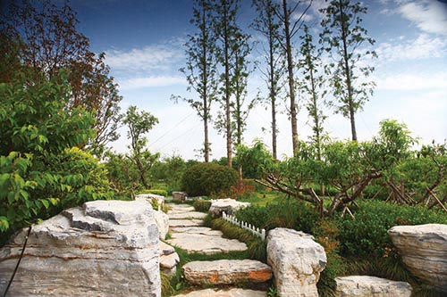 电竞比赛押注app