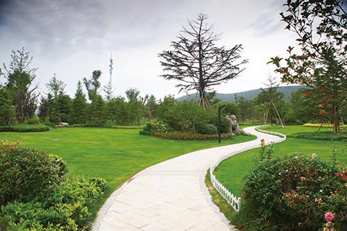 电竞比赛押注app