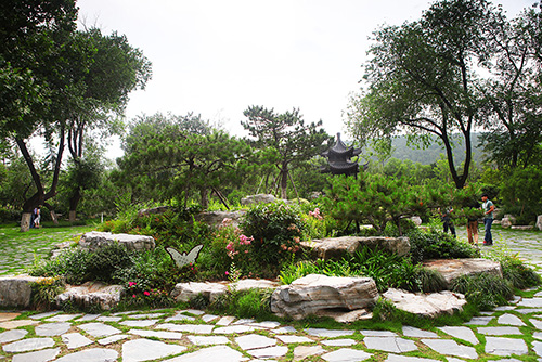 电竞比赛押注app