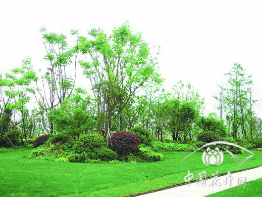 电竞比赛押注app