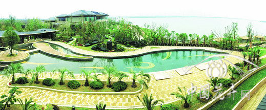 电竞比赛押注app