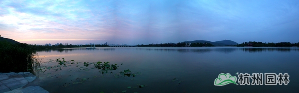 电竞比赛押注app