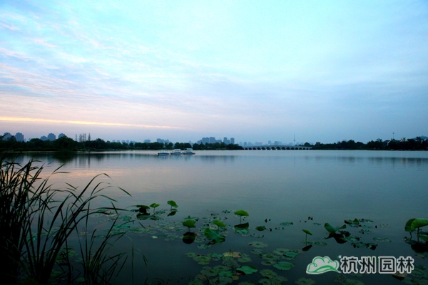 电竞比赛押注app