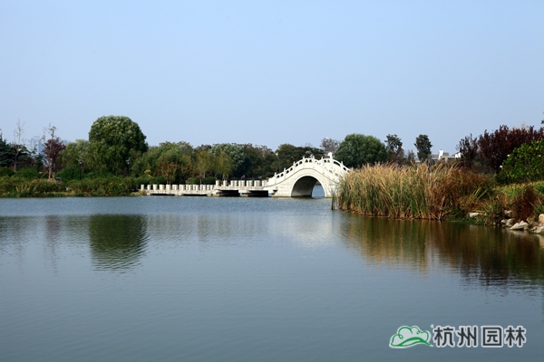 电竞比赛押注app