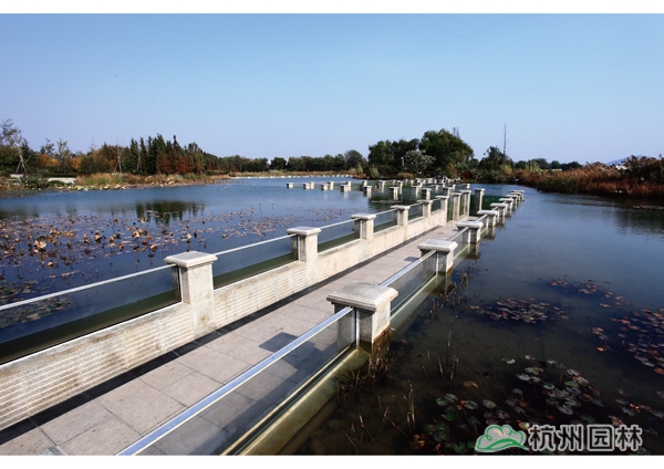 电竞比赛押注app