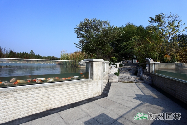 电竞比赛押注app