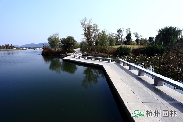 电竞比赛押注app