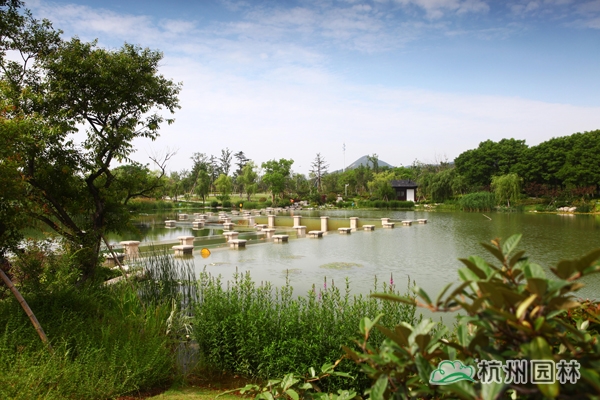 电竞比赛押注app