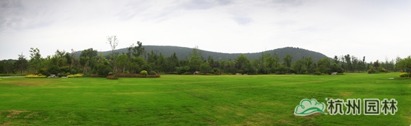 电竞比赛押注app