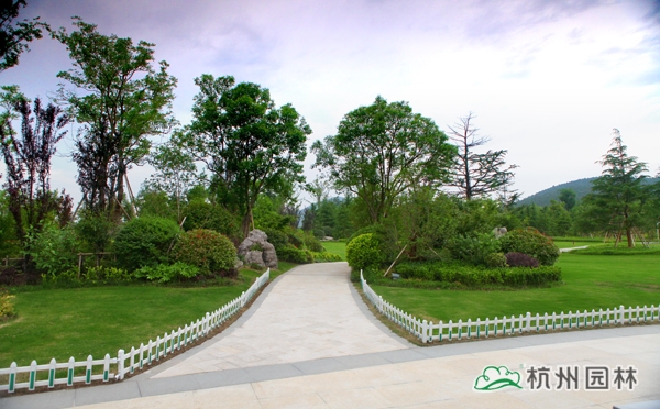 电竞比赛押注app