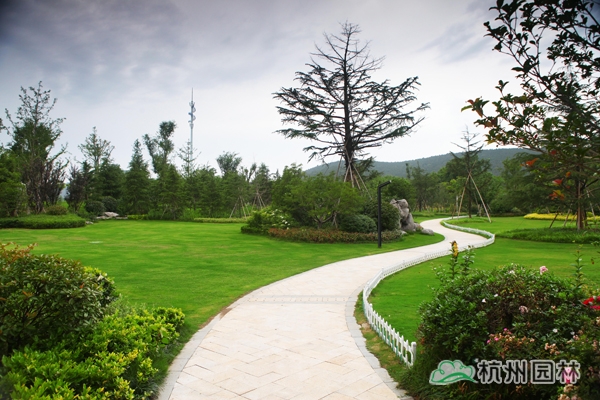 电竞比赛押注app