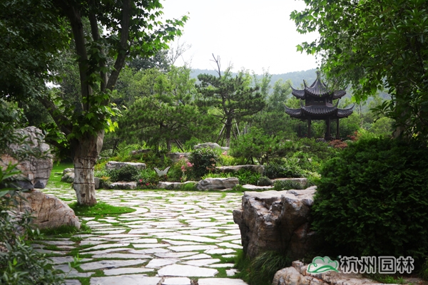 电竞比赛押注app