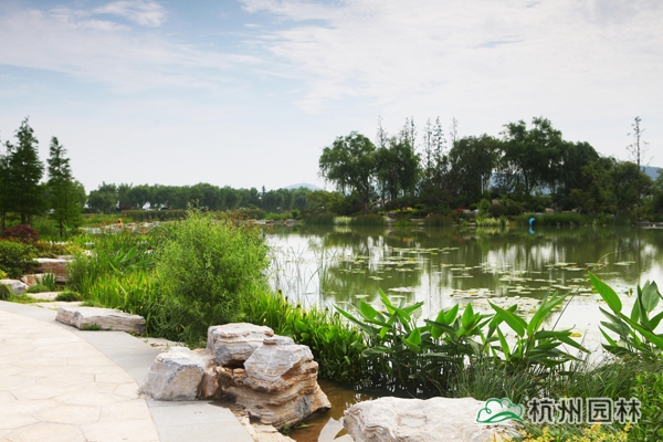 电竞比赛押注app