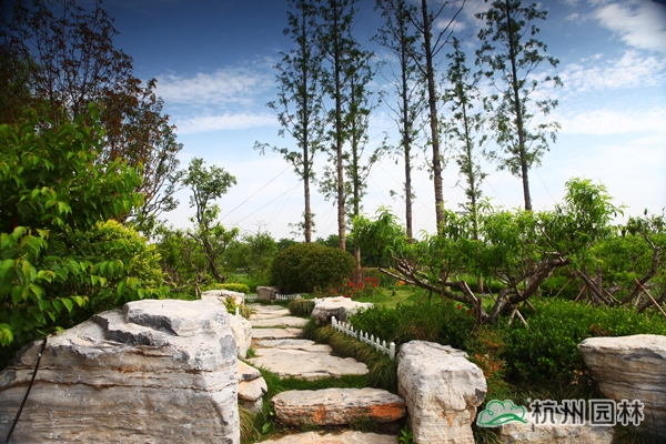 电竞比赛押注app