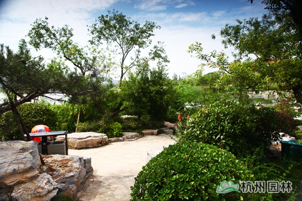 电竞比赛押注app