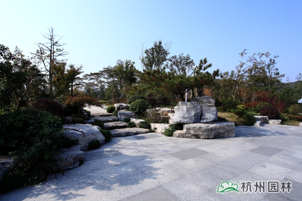 电竞比赛押注app