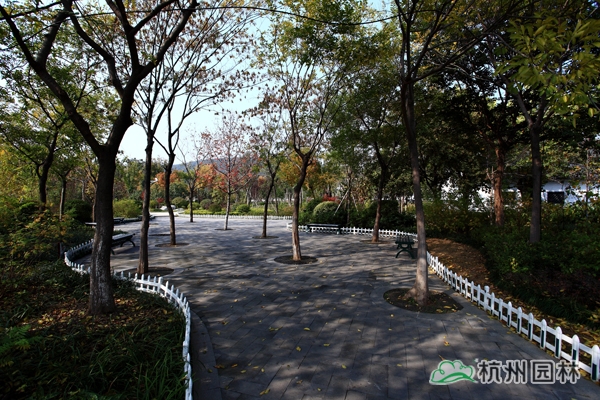 电竞比赛押注app