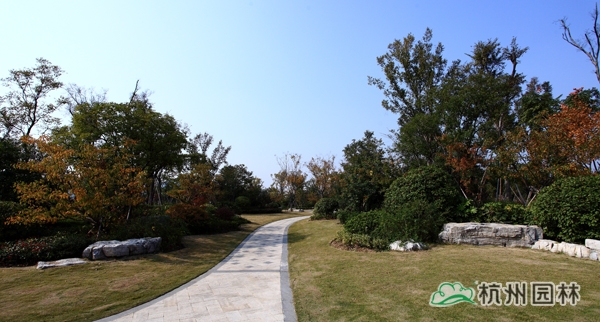 电竞比赛押注app