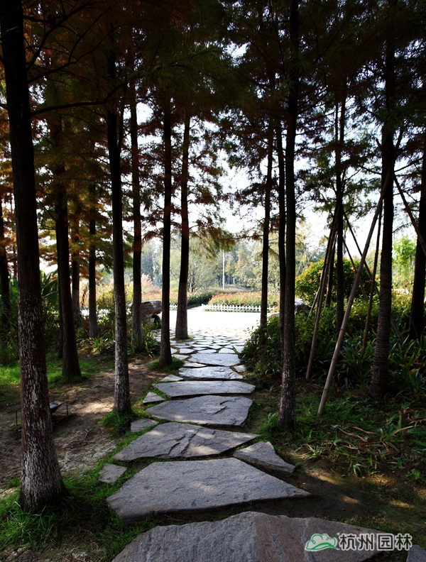 电竞比赛押注app