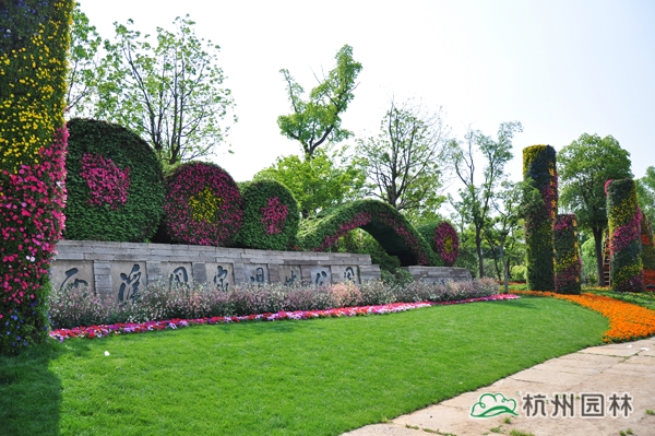 电竞比赛押注app