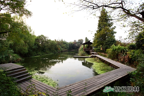 电竞比赛押注app