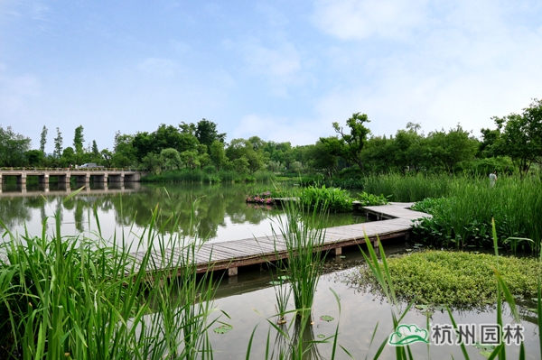 电竞比赛押注app