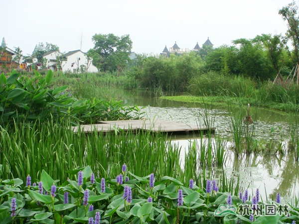 电竞比赛押注app