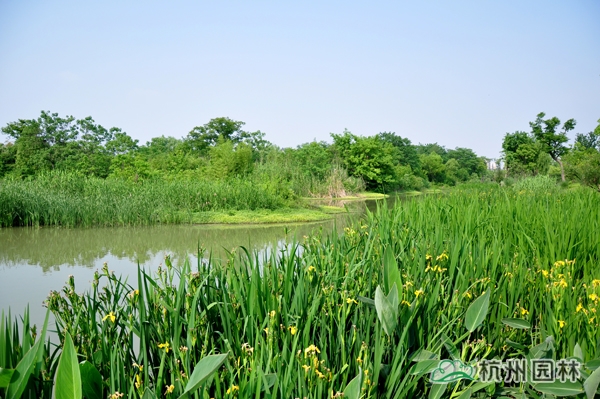 电竞比赛押注app