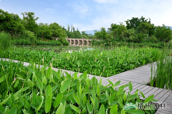 电竞比赛押注app