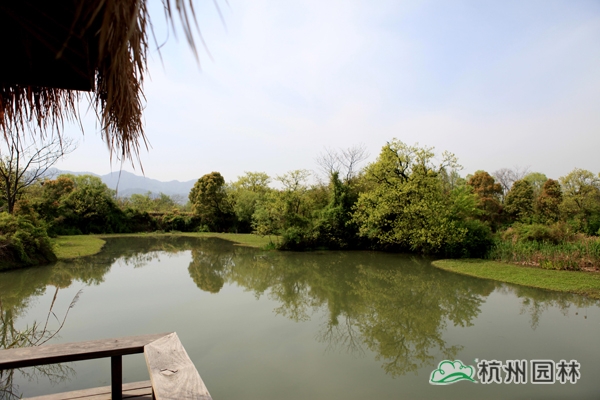 电竞比赛押注app