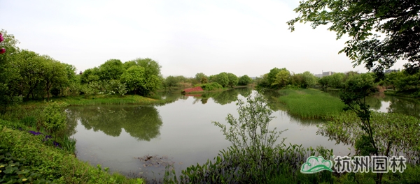 电竞比赛押注app