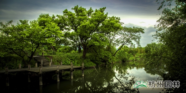 电竞比赛押注app