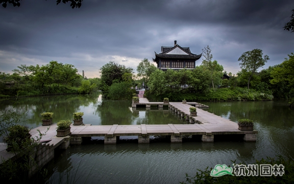 电竞比赛押注app