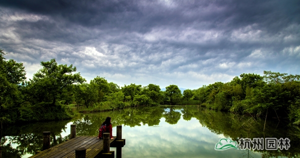 电竞比赛押注app