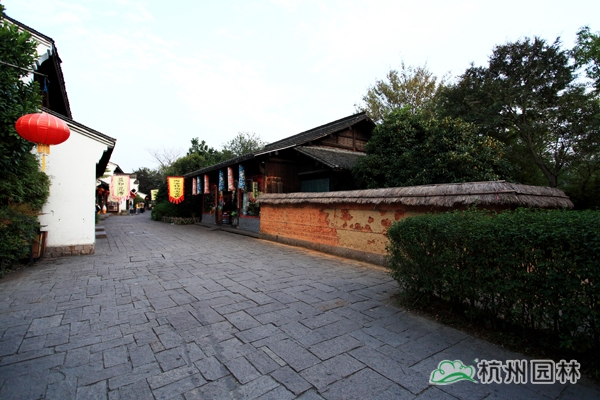 电竞比赛押注app