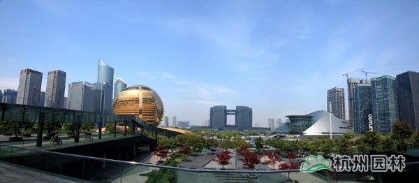 电竞比赛押注app