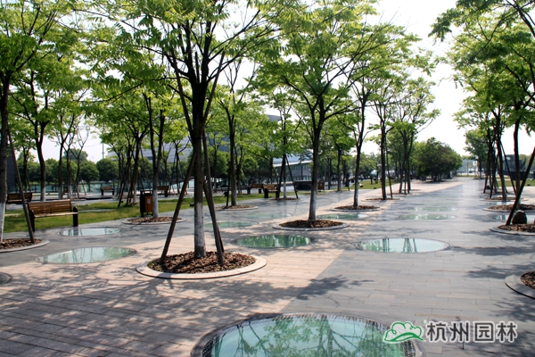 电竞比赛押注app