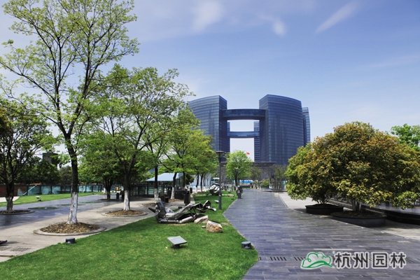 电竞比赛押注app